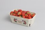 berries-11001-pulp-tray-punnet-NNZ