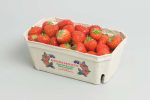 Berries 11001 Pulp Tray NNZ DE 960×639[1]